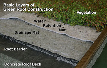 What is an ICF Green Roof